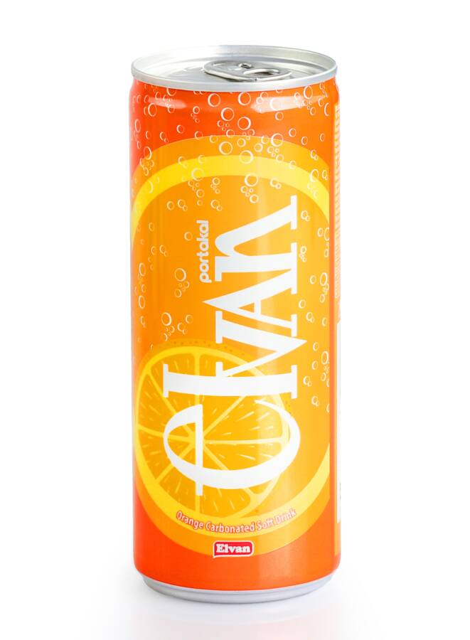 Elvan Gazoz Orange Flavored 250 ml 6 Pack - 2