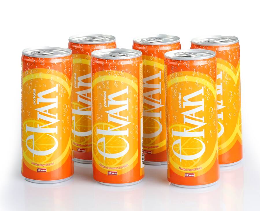 Elvan Gazoz Orange Flavored 250 ml 6 Pack - 3