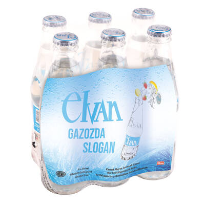 Elvan Soda Mixed Fruit Flavored 250 ml 6 Pack Glass Bottle - 1